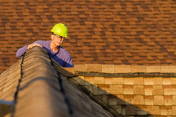 Best Roof Leak Repair  in Roland, IA
